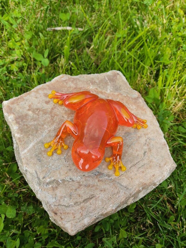 Grenouille Orange et jaune