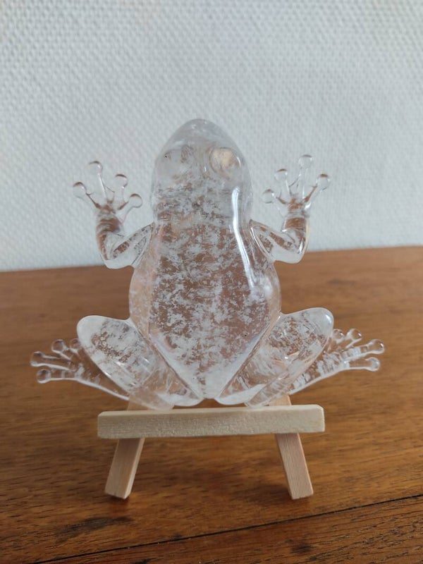 Grenouille neige