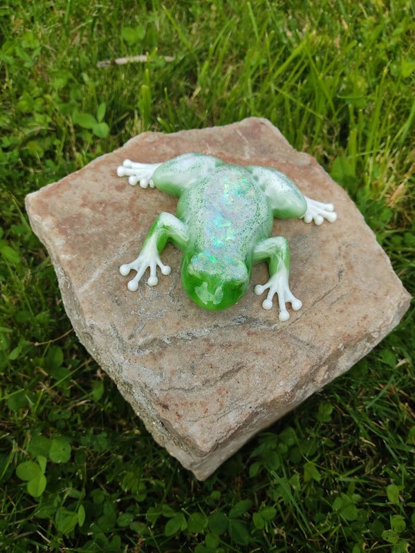 Grenouille verte et blanche