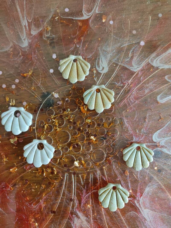 Pampilles coquillage