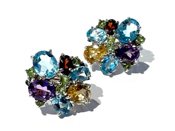 Zilveren Multicolor oorbellen