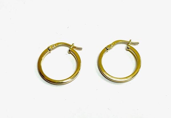 Geelgouden Vierkante creolen met Zilveren binnenkern S