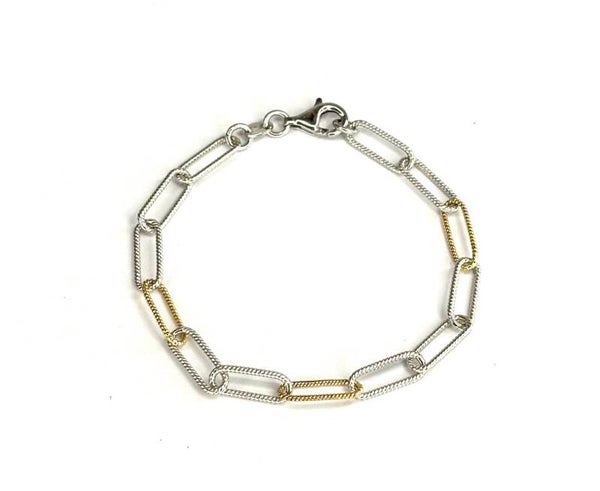 Zilver met Gouden Armband