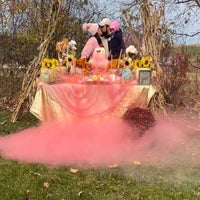 fouser-gender-reveal-2-standard.jpg