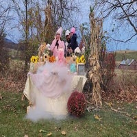 gender-reveal-standard.jpg