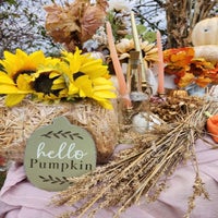 hello-pumpkin-standard.jpg