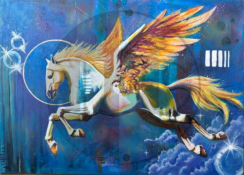 70x50-pegasus-standard-yogndf.jpg