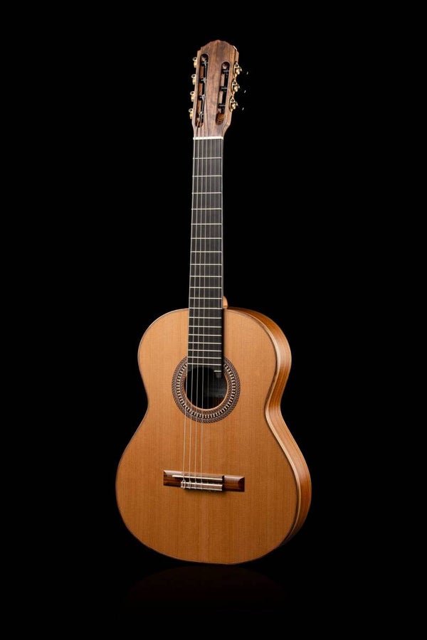 A Private 10-Day All-Inclusive Guitar Building Experience