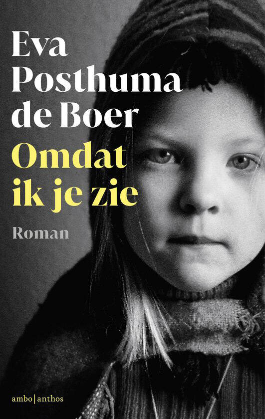 Cover Eva Posthuma de Boer - Omdat ik je zie