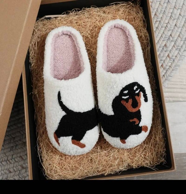 Dachshund Slippers