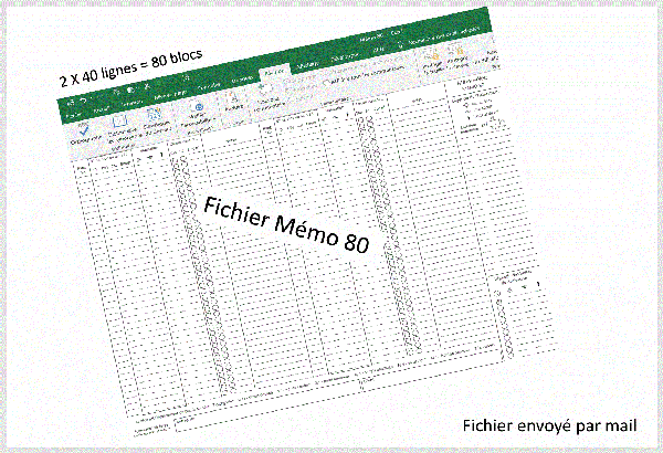 FORMULAIRE MEMO 80 EXCEL