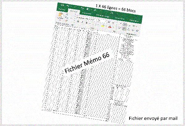 FORMULAIRE MEMO 66  EXCEL