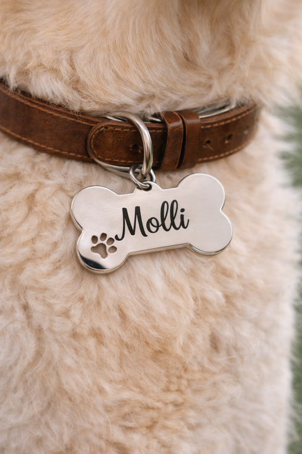 Personalisierte Hundemarke aus Edelstahl | Namensanhänger für Hundehalsband | Knochenform 3,5 x 5 cm | Robust & langlebig