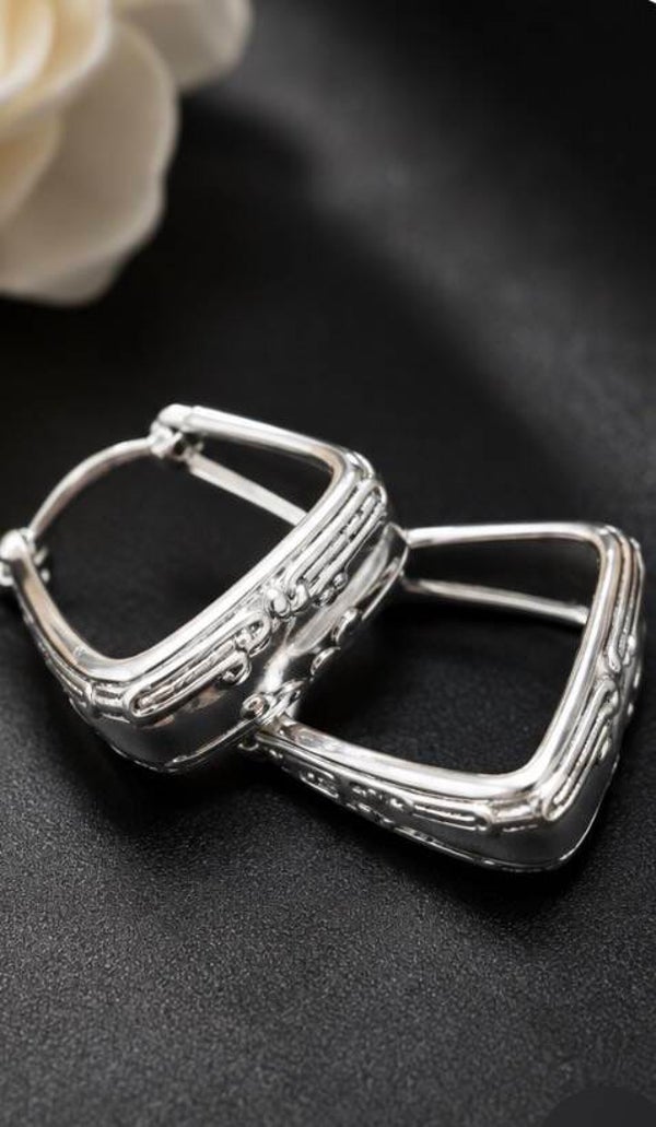 Elegant  Silver Hoop Earrings