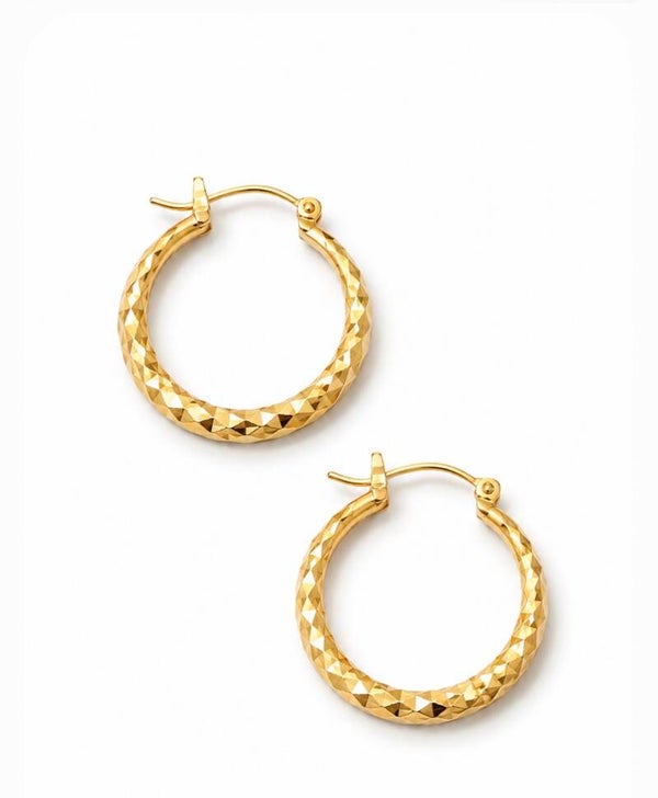 Elegant Silver Hoop Earrings