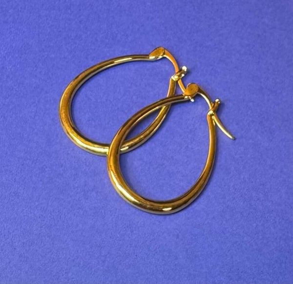 Elegant Gold Hoop Earrings
