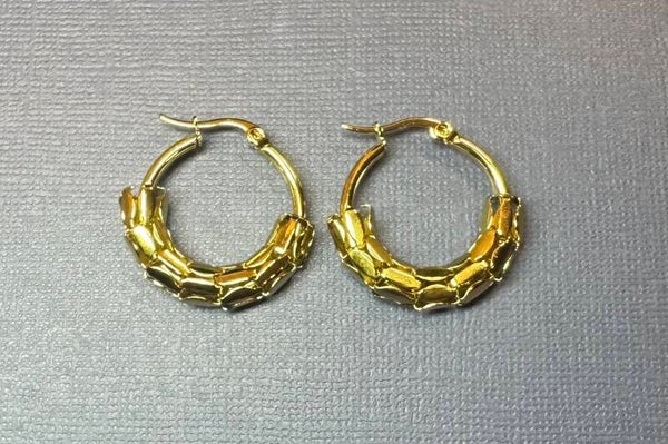 Gold Hoop Earrings