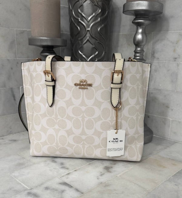 Coach Signature Beige Tote Bag