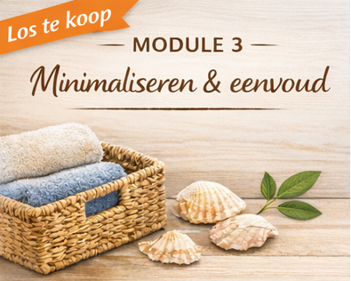 Losse module: Minimaliseren en eenvoudiger leven