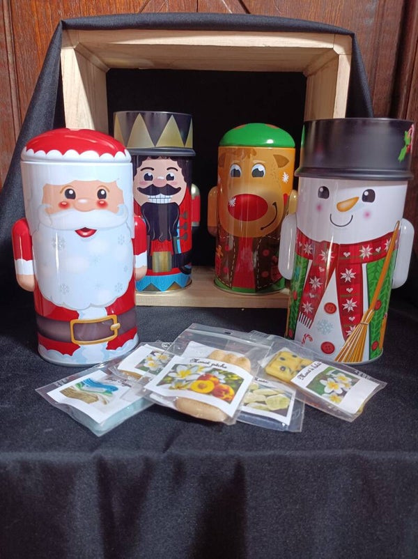 Boîte de Noël avec ses fondants parfumés
