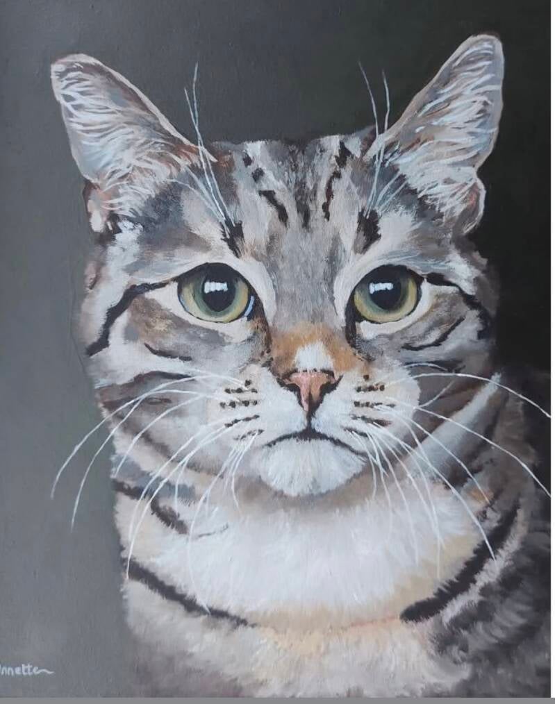 Portret in opdracht huisdier portretschilderij van grijze kat