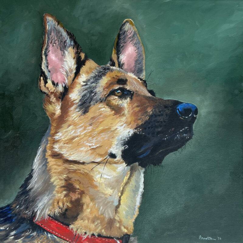 Herdershond geschilderd in olieverf