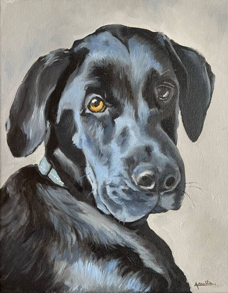 huisdier in opdracht geschilderd. Portretschilderij Urk