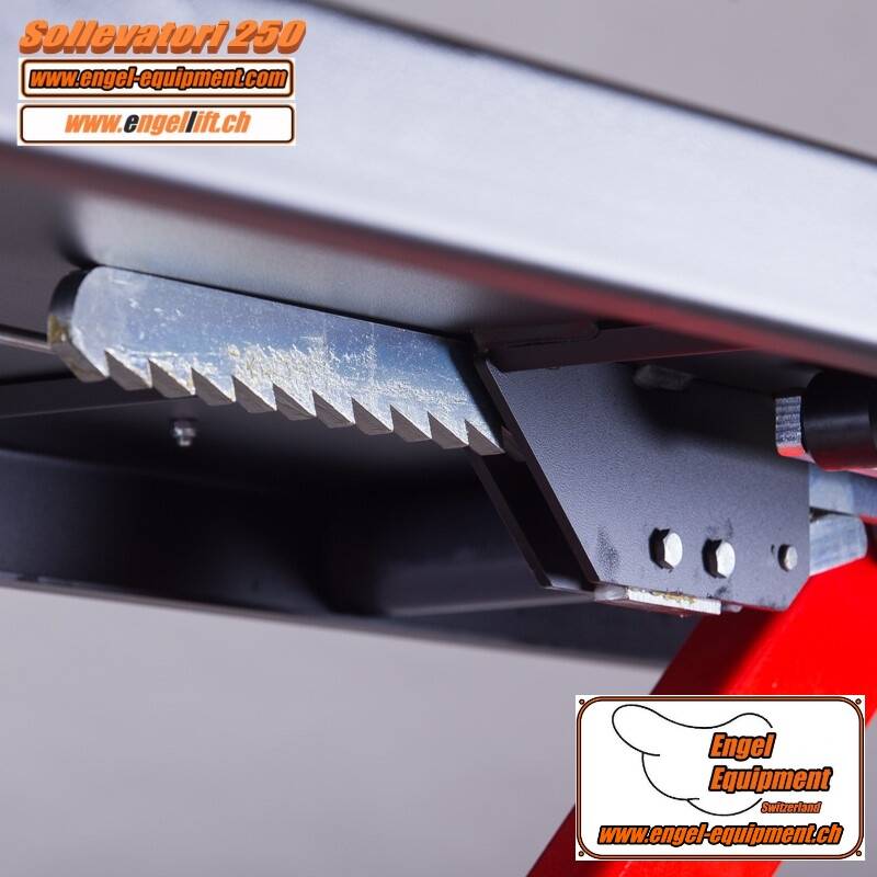 Engellift Sollevatori 250 D-3
