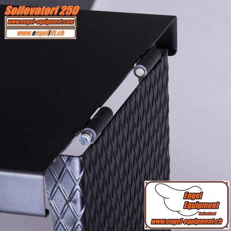 Engellift Sollevatori 250 D-5