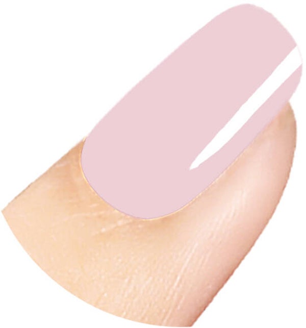 BIAB KB55 (20ml) / B55 (15ml)