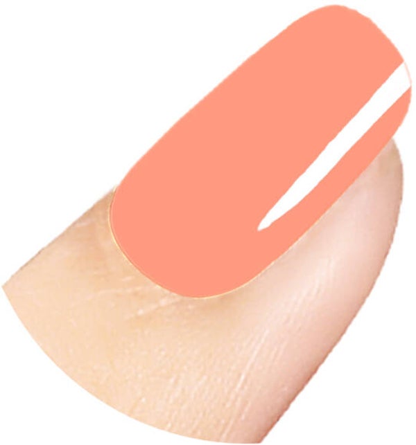 BIAB KB62 (20ml) / B62 (15ml)