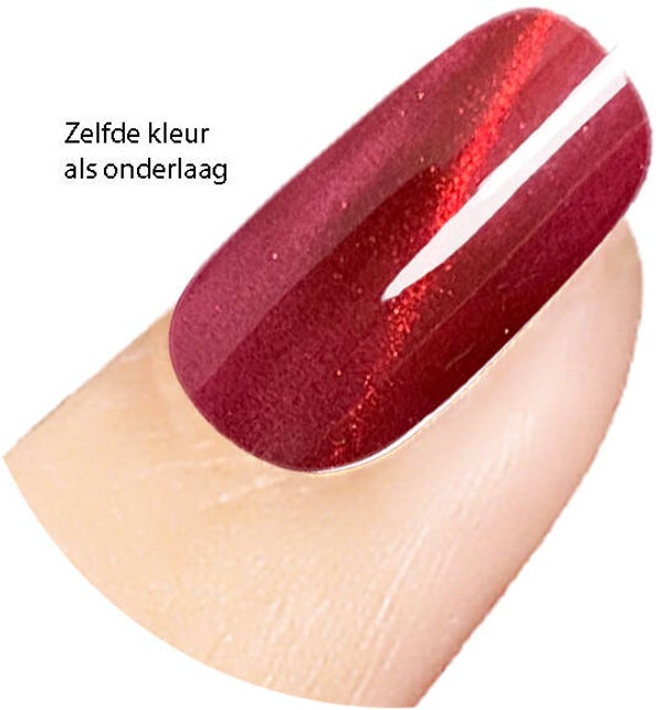 Cat Eye FL41