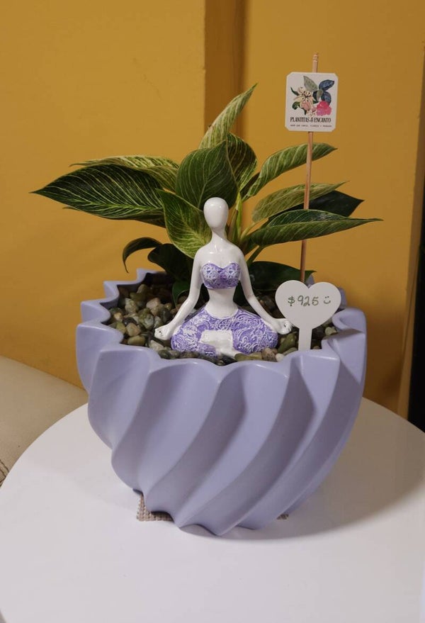 Suspiro Lavanda