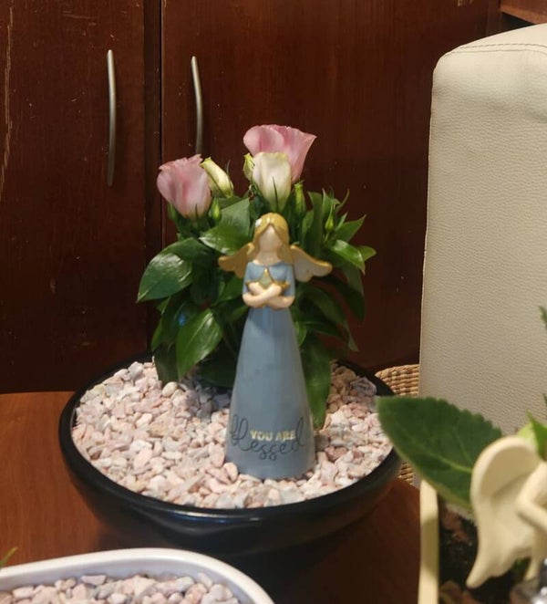 Energía de mayo