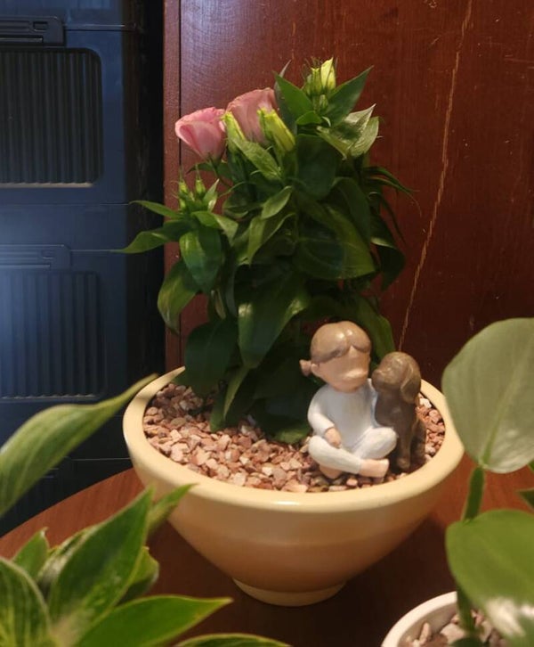 Energía de mayo pequeñita con cachorro