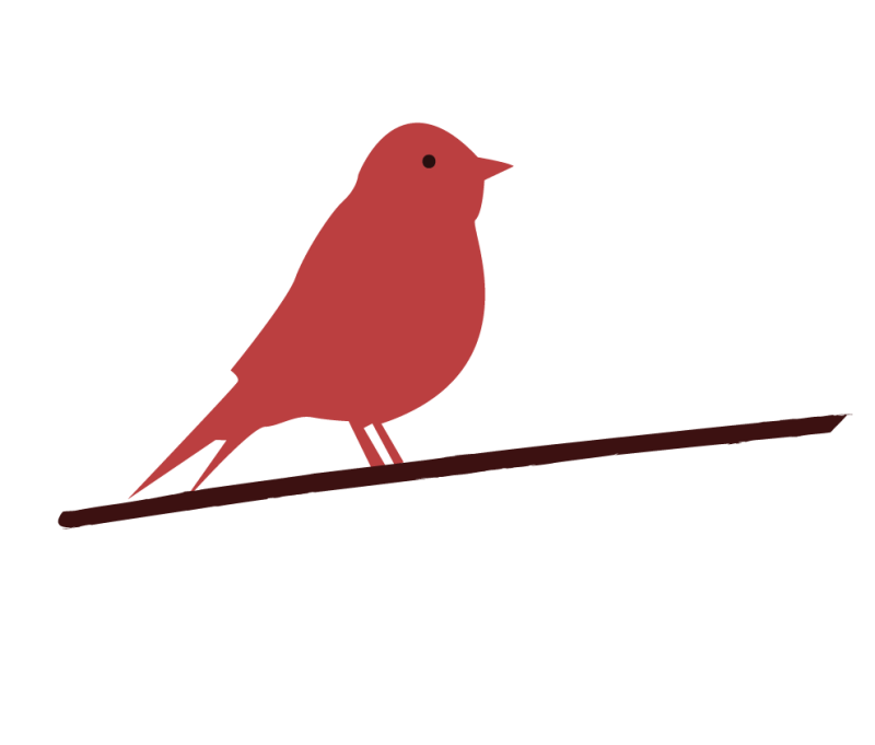 Levenscoaching voor je levensvragen bij Levenscoach Marion, je vrij voelen als een vogel