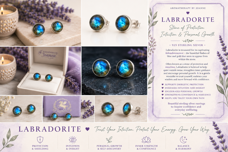labradorite-silver-earrings-01-standard.png