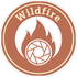 Wildfire documentation services