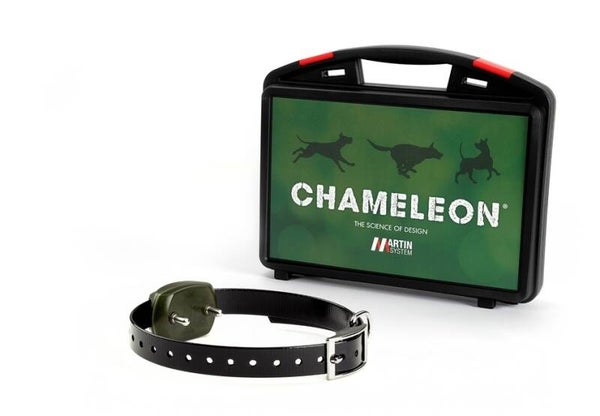 EXTRA MICRO COLLAR IV S.S.C