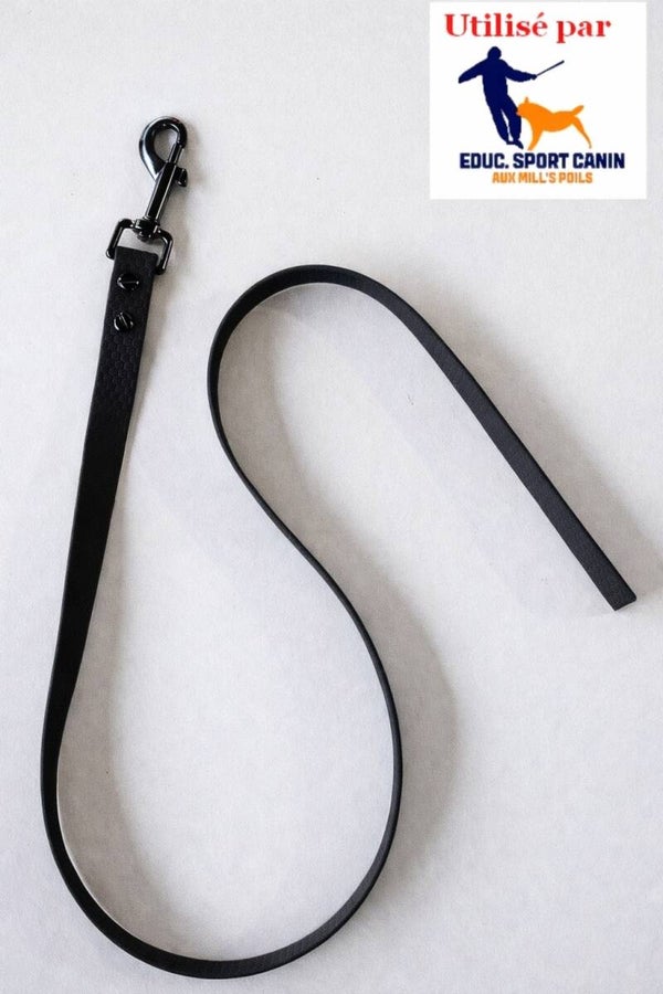 Laisse Polychlorure de vinyle