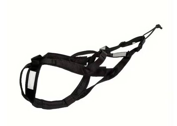 Harnais traction NOIRE