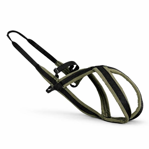 Harnais Premium   de traction