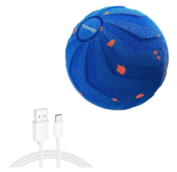 Balle interactif pour chien