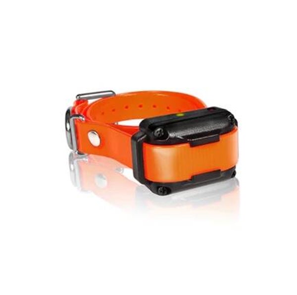 Récepteur Dogtra iQ / iQ PLUS - Orange