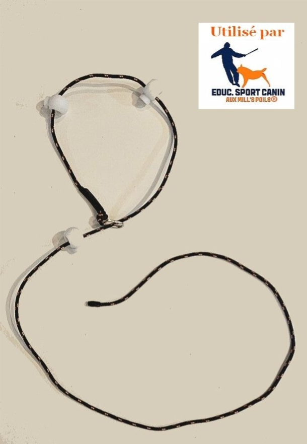 Laisse Lasso d'éducation "Atlas"