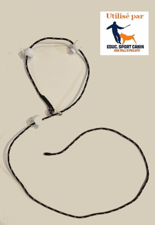 Laisse Lasso d'éducation "Atlas"