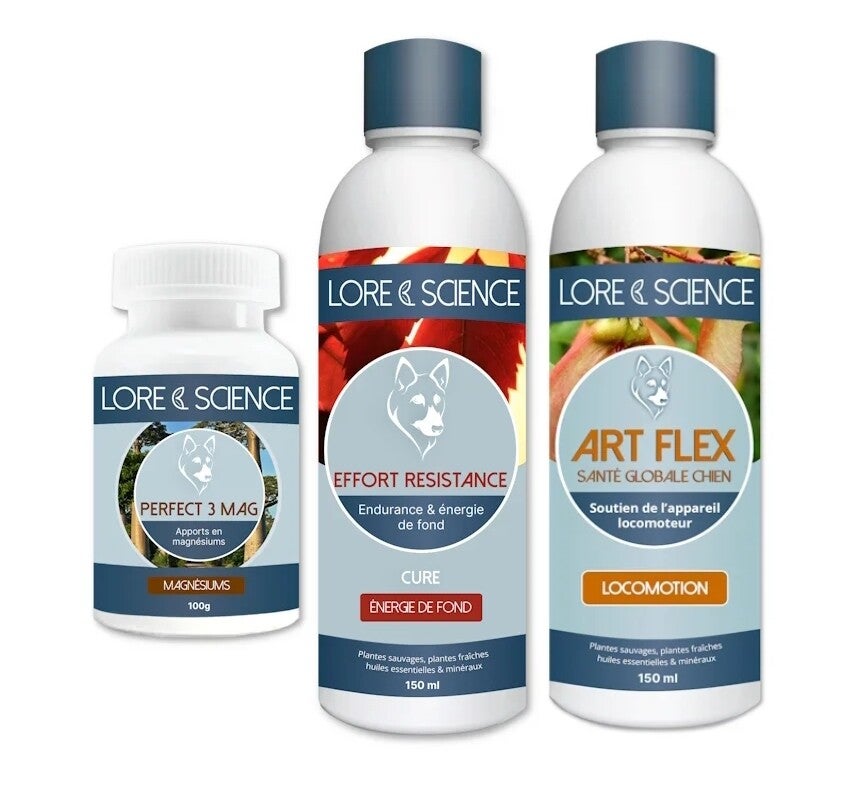 Prépa compétition chien sportif