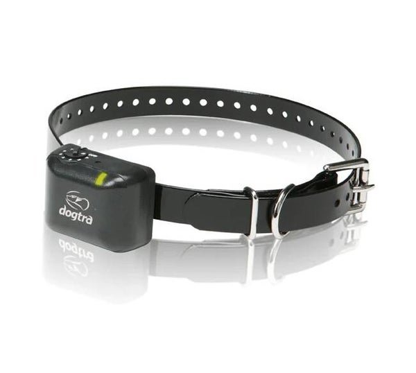 Collier anti-aboiement pour chiens de petite et moyenne taille.