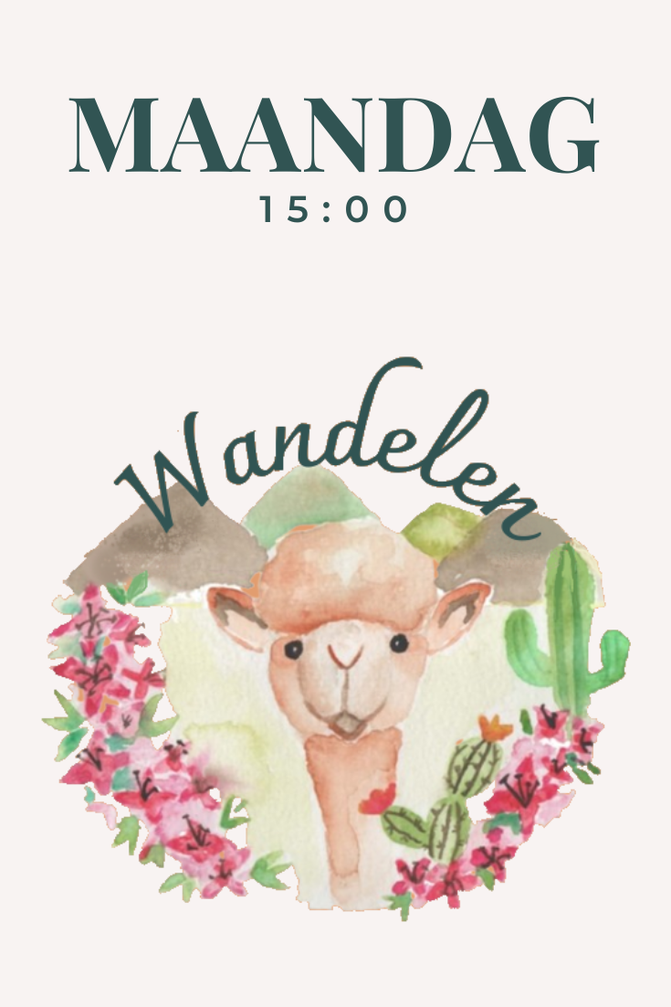 Alpaca wandelen op maandag 15:00