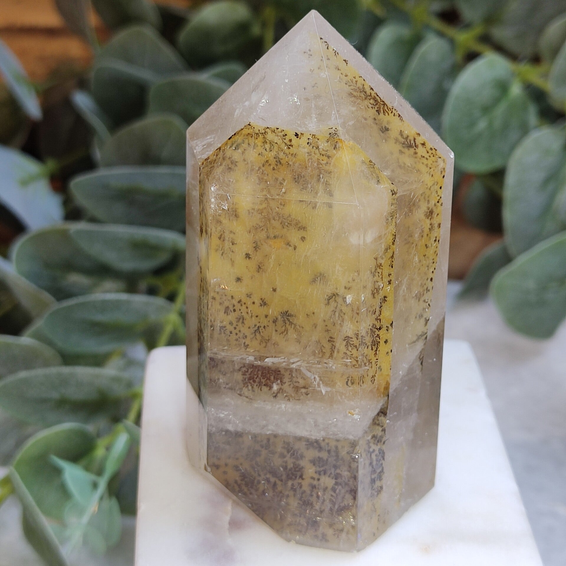 Dendriet Kwarts Punt